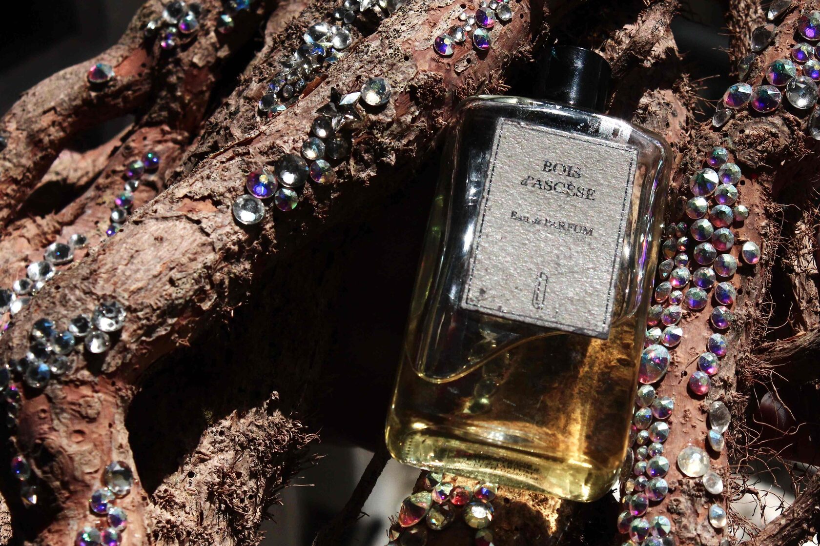 Naomi project image 2